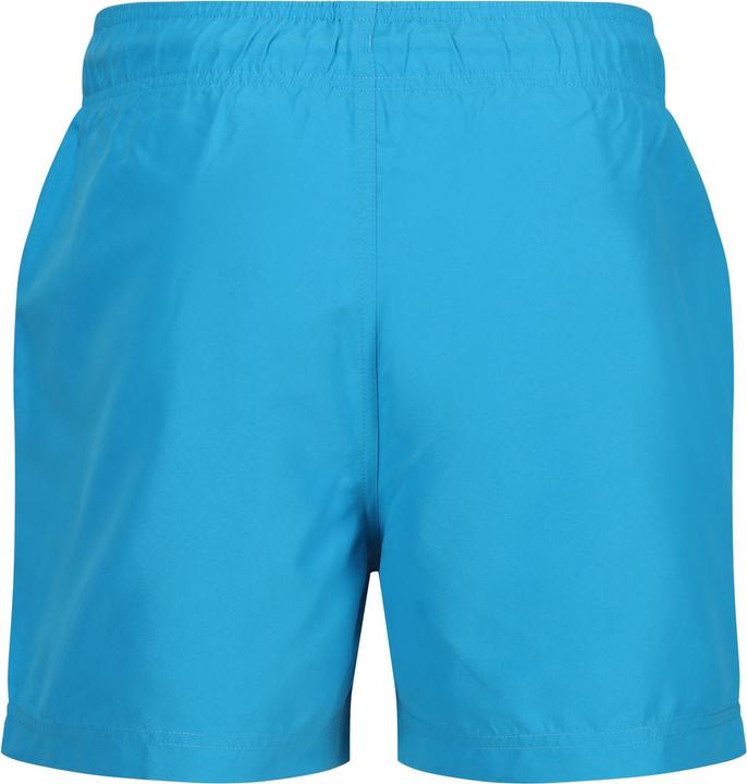 Produktbild Regatta Mawson II Kurze Hose (XL)