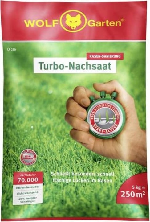 Wolf-Garten Turbo reseeding LR 250 (Seedlings)
