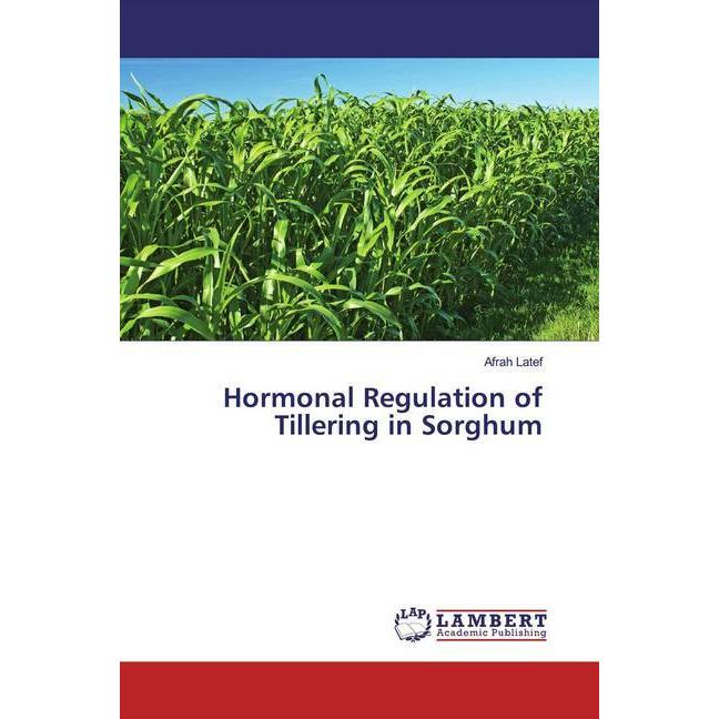 Hormonal Regulation of Tillering in Sorghum, Fachbücher von Afrah Latef