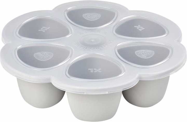 Actual product image Beaba Multi portions 6x90ml