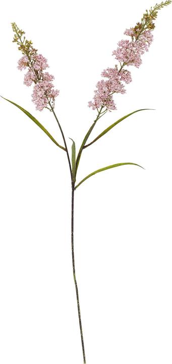 Actual product image Bloomingville Hydrangea (100 cm)