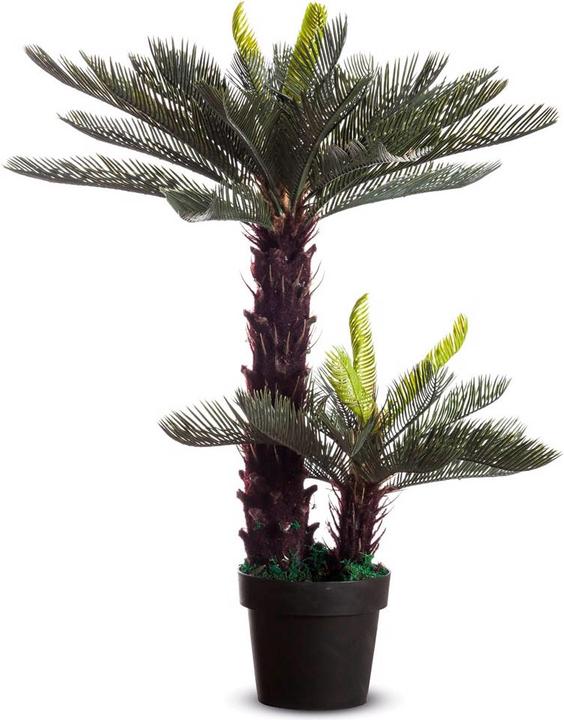 Paperflow Zycas (80 cm)