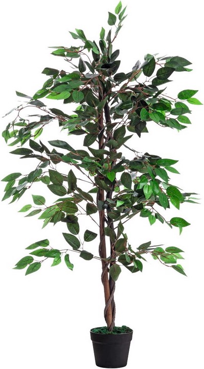 Produktbild Paperflow Feigenbaum (120 cm)