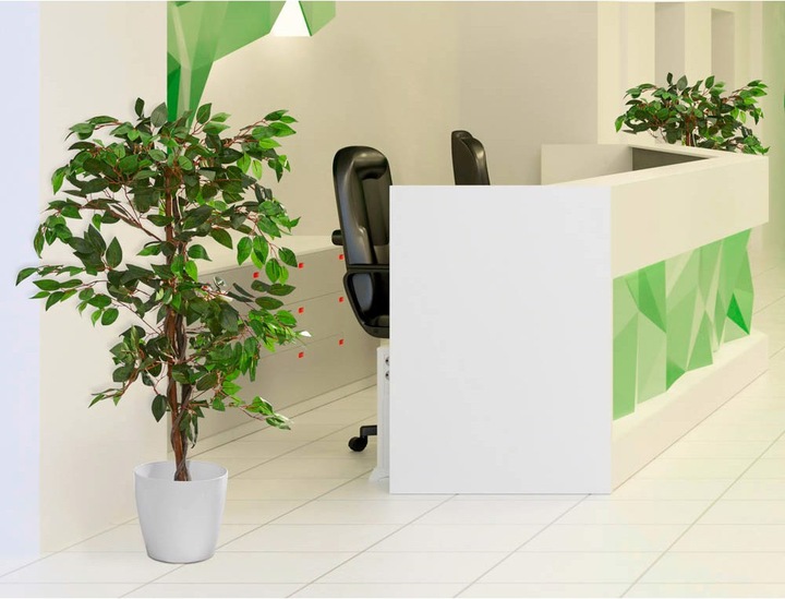 Produktbild Paperflow Feigenbaum (120 cm)