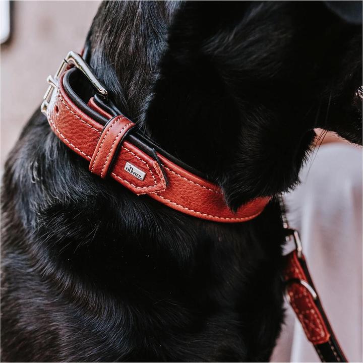 Produktbild Hunter Halsband Canadian Up für Hunde Cognac M (M, Hund, Allgemein)