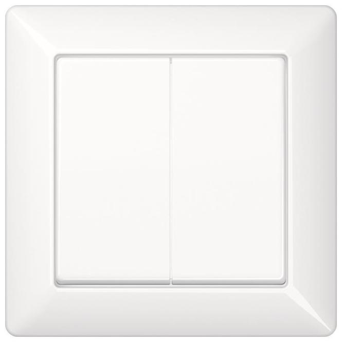 Actual product image JUNG Cover