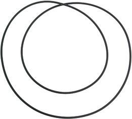 Actual product image Elite Drive belts for Ghibli, Parabolic, Arion and Quick-Motion