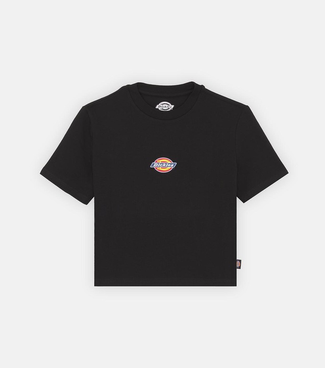Dickies Maple Valley Tee Black