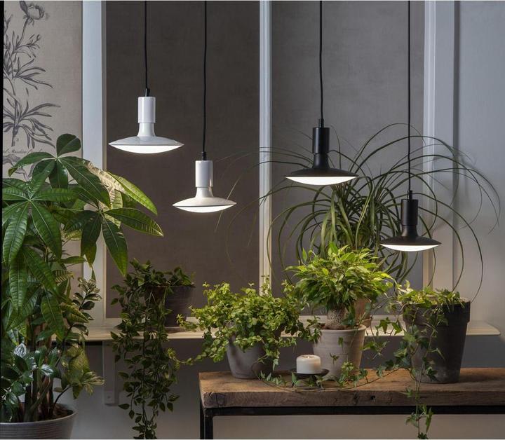 Produktbild Star Trading Lampe (E27, 25 W, 1600 lm, 1 x, G)