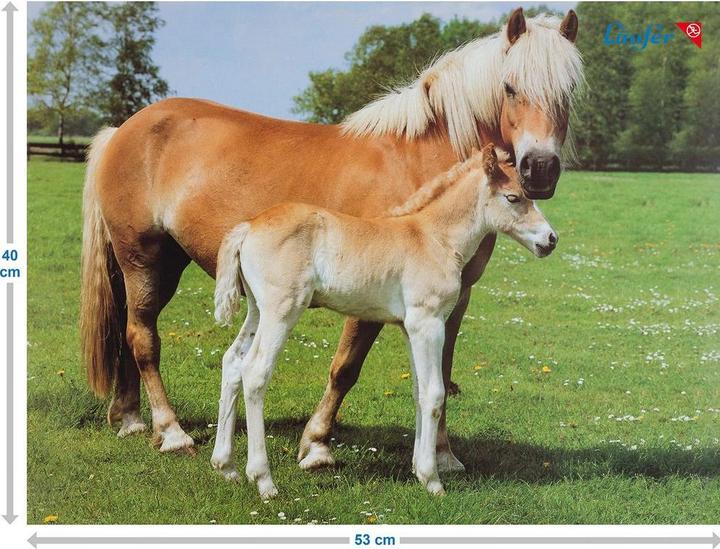 Produktbild Läufer Motiv 40x53 Pferd/Fohl. (53 x 40 cm)