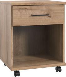 PLANK OAK REPRODUCTION