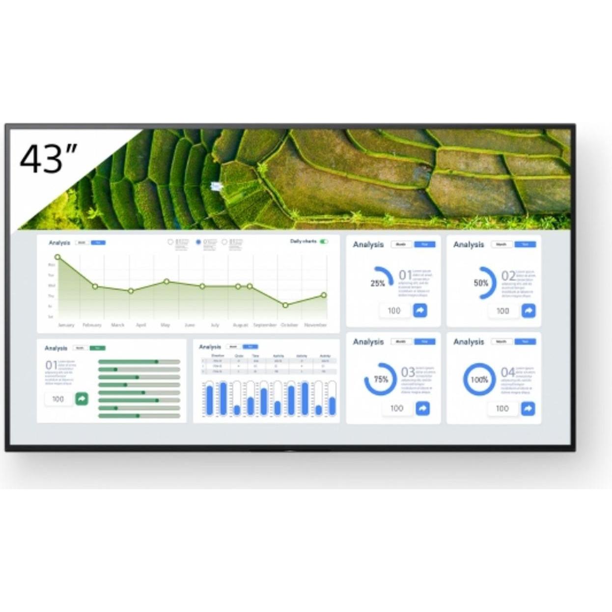 Sony Pro Bravia (3840 x 2160 Pixel, 43"), Digital Signage, Schwarz