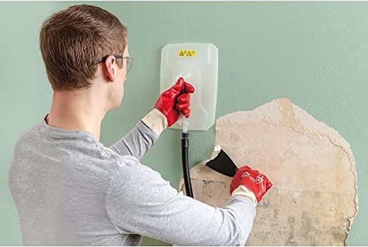 Actual product image Wagner SteamForce Plus (2000 W)