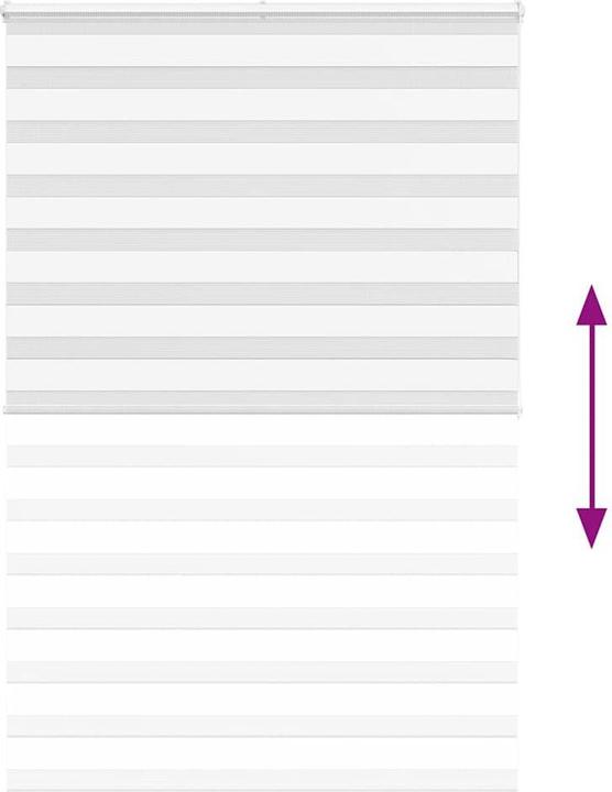 Produktbild vidaXL Zebra-Jalousie (140 x 200 cm)