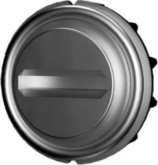 Produktbild Rittal Verschluss-Einsatz