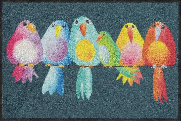 Actual product image Salonloewe Doormat Rainbow Birds 50 cm x 75 cm (50 x 75 cm)