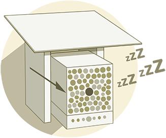 Immagine prodotto Wildbiene BeeHome Observer (Ape)