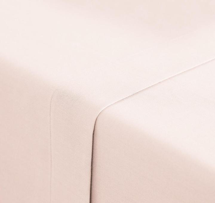 Image du produit La Redoute Interieurs Scenario Coton (Drap, 150 x 250 cm)