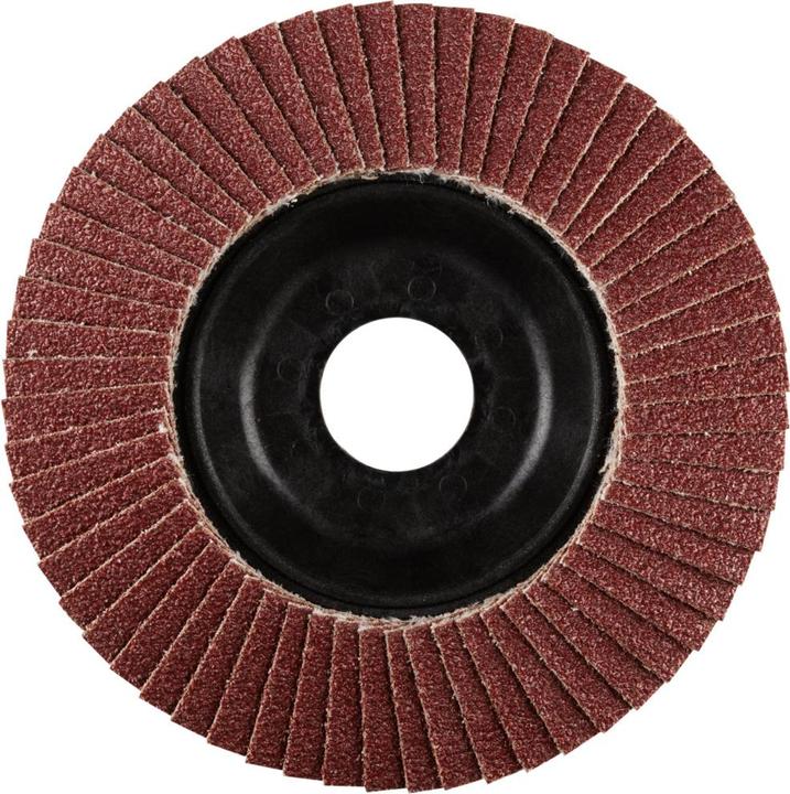 Actual product image Rhodius PROline LSA P1 flap disc 115 x 22.23 mm K40 (40)