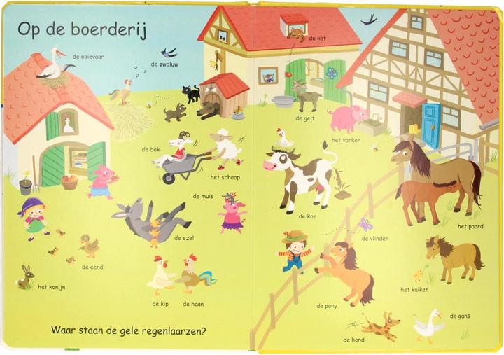 Actual product image Wins Holland Search for animals in the book picture dictionary