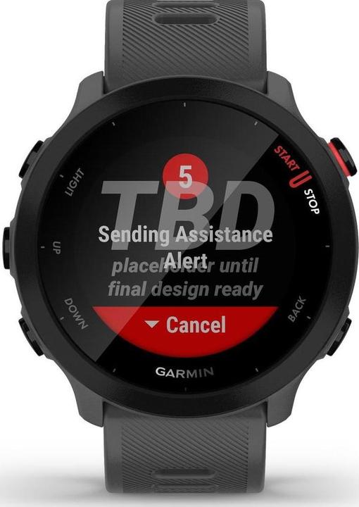 Actual product image Garmin Forerunner 55 (42 mm)