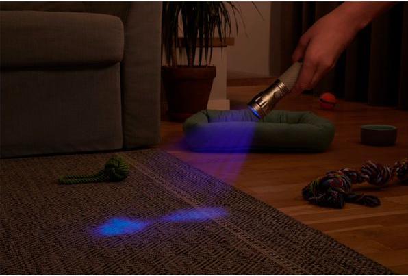 Produktbild Varta UV-Taschenlampe (11.80 cm, 0 lm)