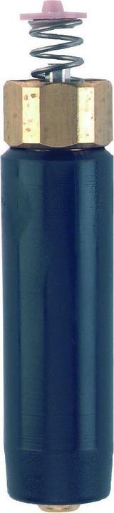 Suevia Soupape de rechange avec ressort