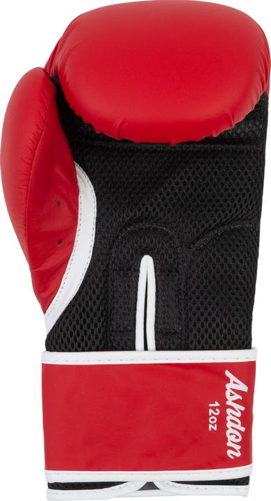Actual product image Lonsdale Ashdon (16 OZ, 12)