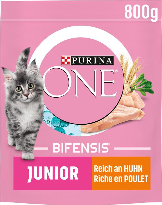 Actual product image Purina ONE Dried fodder (Junior, 1 pcs., 800 g)