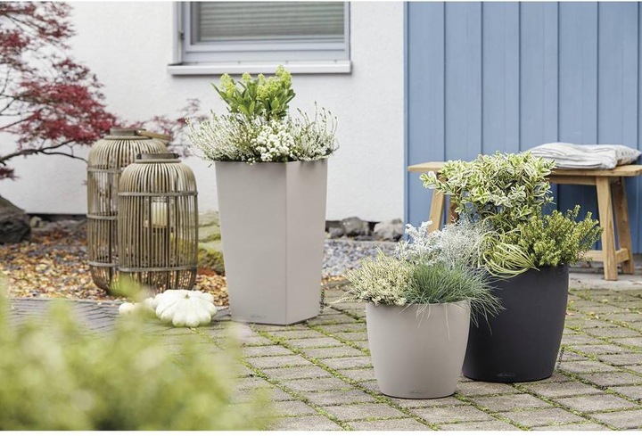 Image du produit Lechuza Classico Color (21.50 cm)