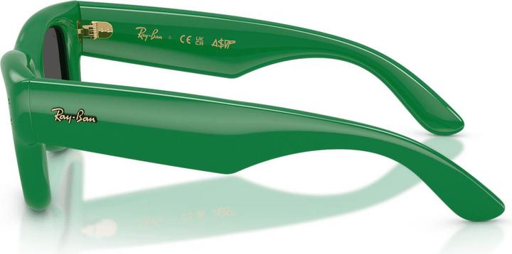 Actual product image Ray Ban Wayfarer buffer