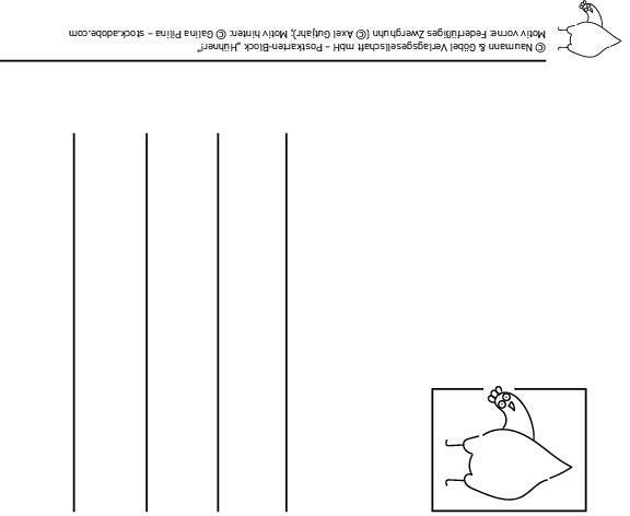 Produktbild Postkartenblock Hühner (1 Stk.)