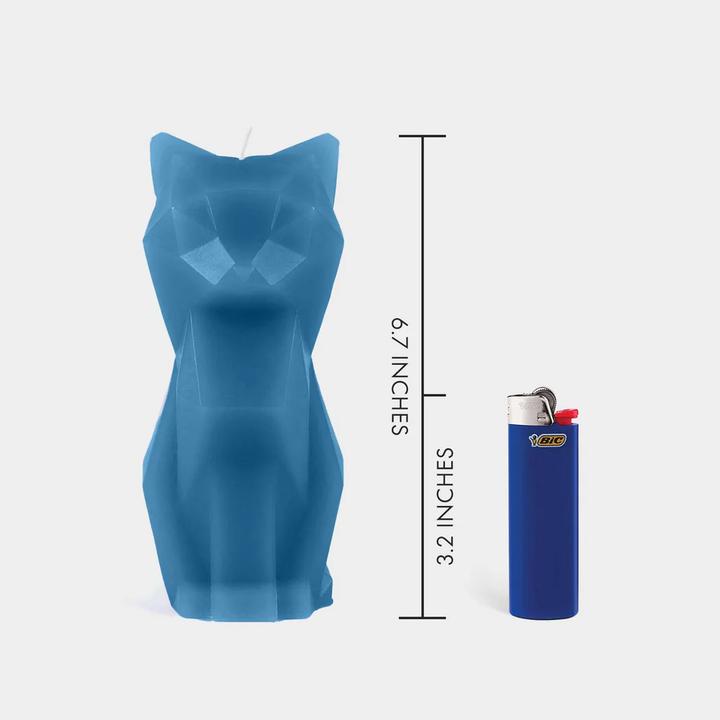 Actual product image 54Celsius PyroPet Kisa