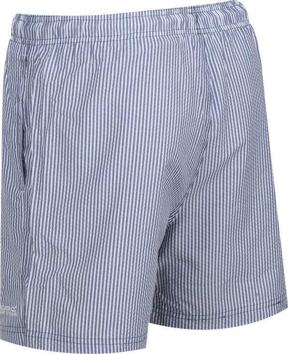 Actual product image Regatta Mens Loras Stripe Swim Shorts (XL)