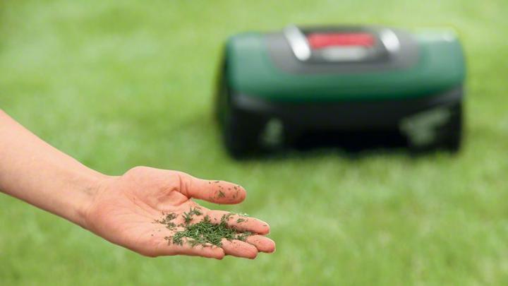 Image du produit Bosch Home & Garden Indego XS 300 (300 m²)