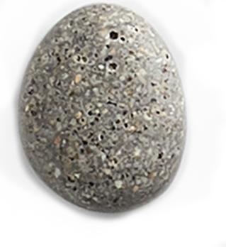 Actual product image Zeller Present Stone 6-pcs (6 x)