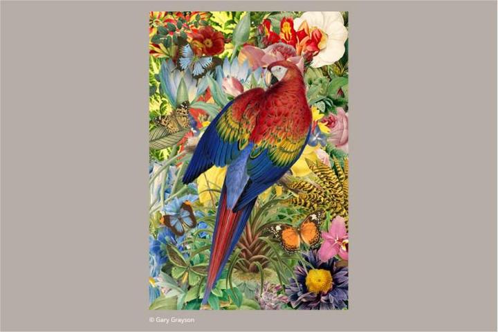 Productafbeelding Paperblanks Astucci Multiuso Tuin Tropisch