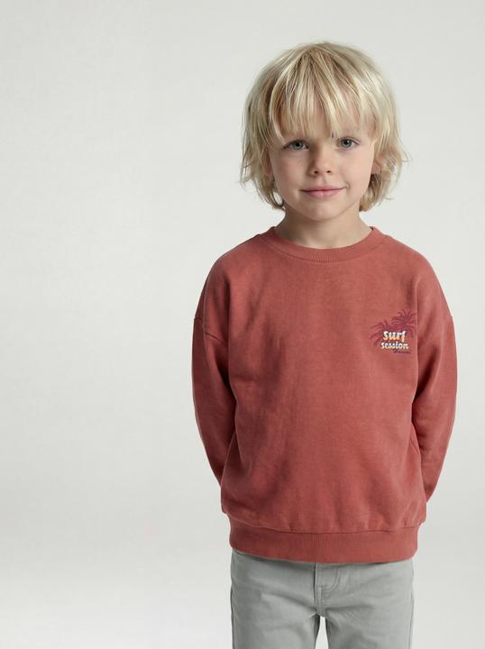 Produktbild Vertbaudet Rundhals-Sweatshirt Jungen mit Recycling-Polyester (110)