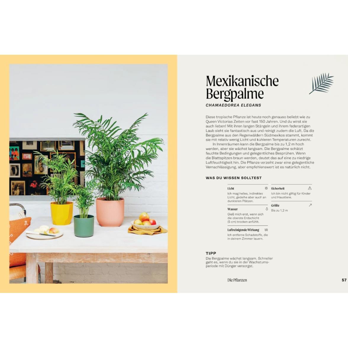 Thumbnail - The Unkillables, Ratgeber von Gerrit ten Bloemendal, Jo Lambell