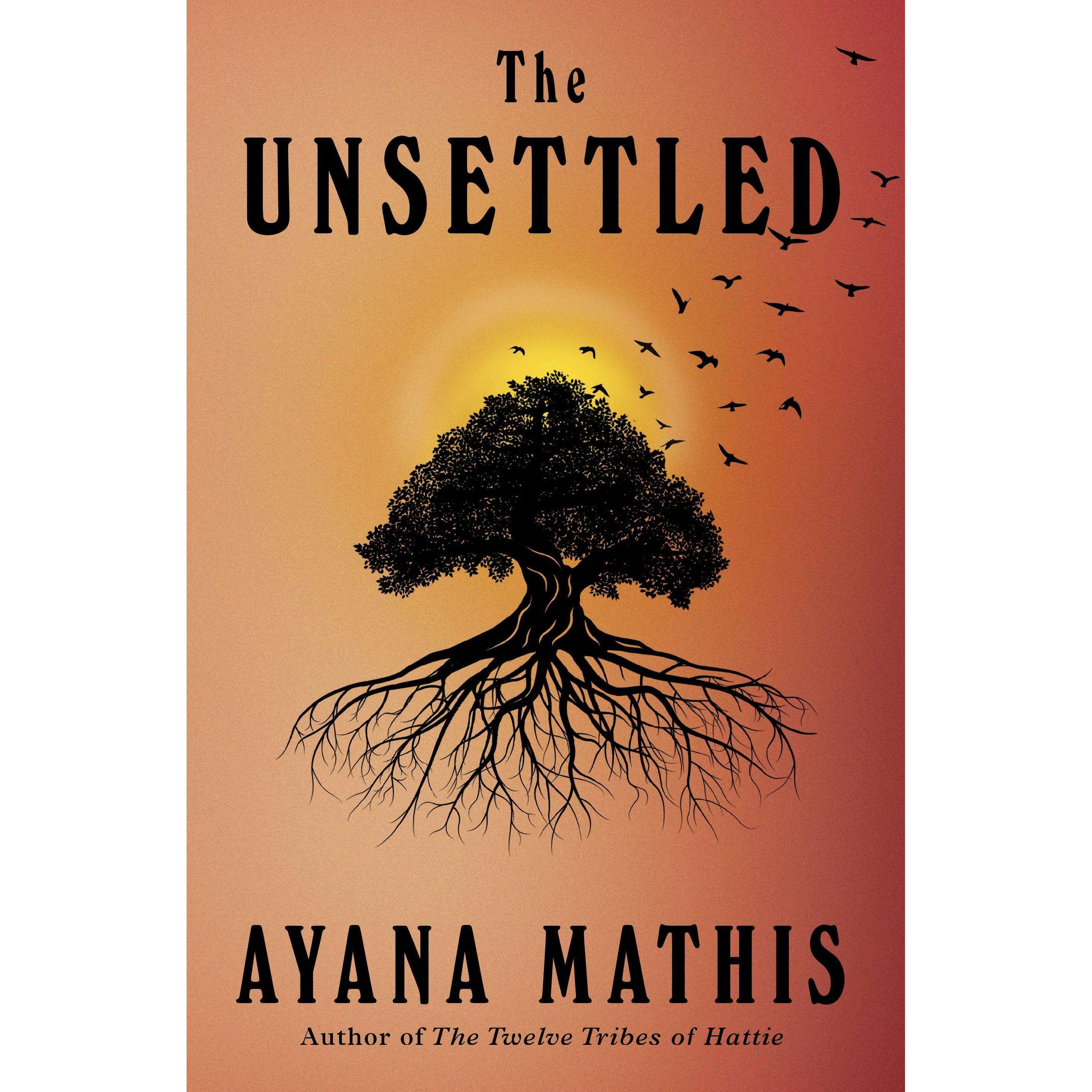 Mathis:The Unsettled, Belletristik von Ayana Mathis