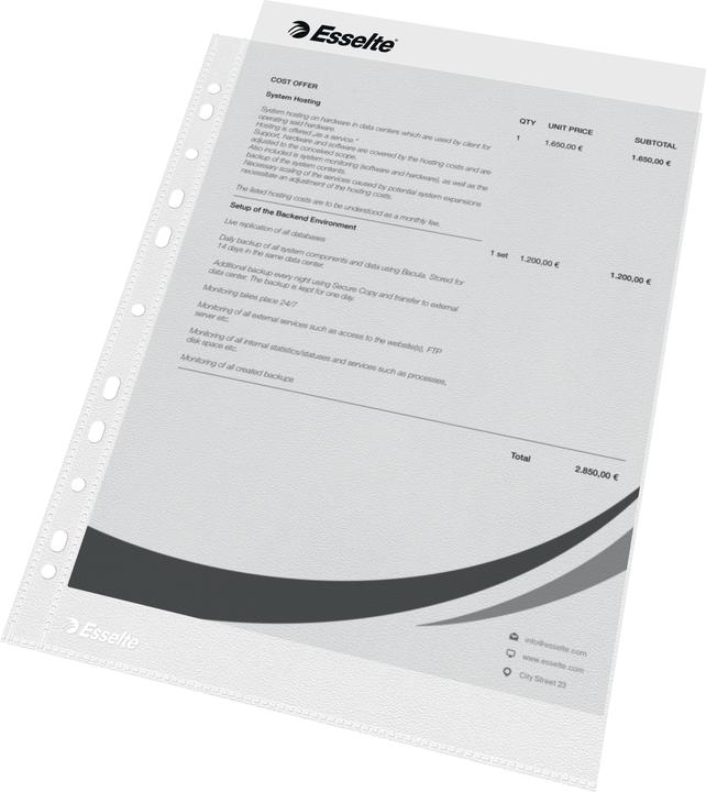 Leitz Prospekthuelle A4 oben offen Prospekthlle Esselte, A4, oben offen, PP Folie, genarbt (A4, 1 x)