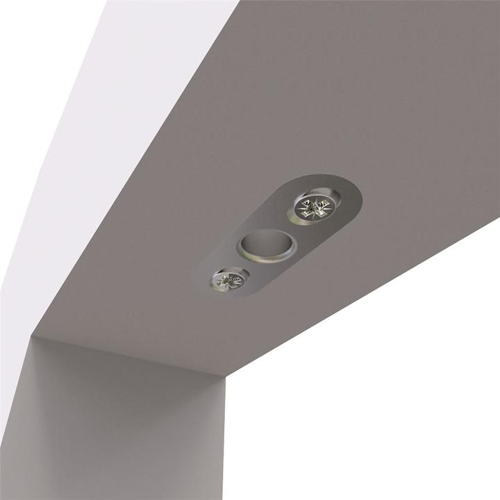 Produktbild Rieffel Türband Pivotica Pro FM, max. Türgewicht 100kg, Türstärke ab 40 mm, Edelstahl