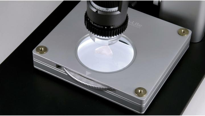 Actual product image Anmo Dino-Lite Backlight BL-ZW1