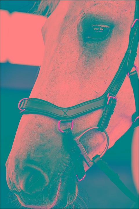 Produktbild Horseware Micklem Multi