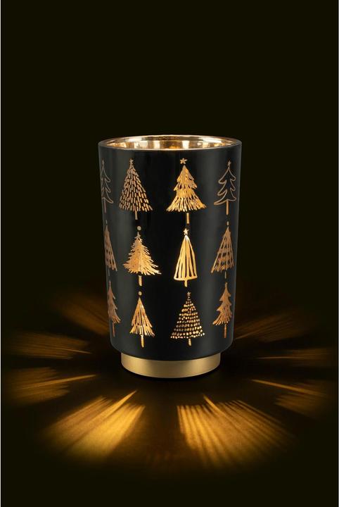 Image du produit STT Lanterne, Arbre, M, 20 cm, Noir