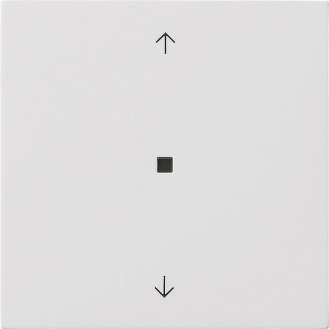 Gira 5494112, Taster + Schalter, Weiss