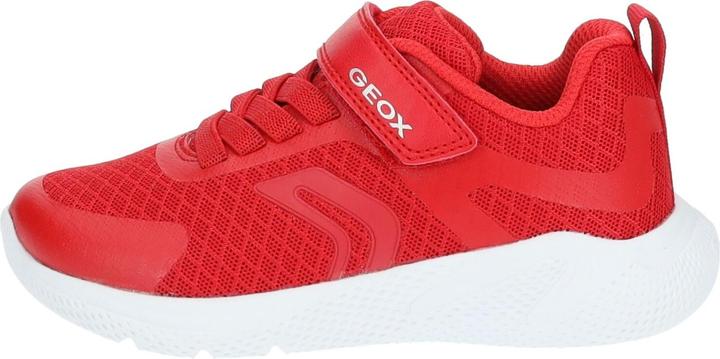 Actual product image Geox Sneaker (34)