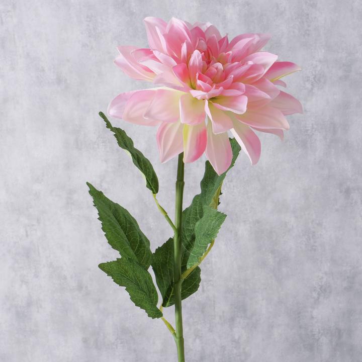 Image du produit Boltze Home Fleur de tige (12 cm)