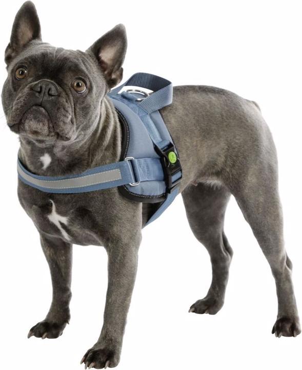 Produktbild Kerbl Hundegeschirr Maestro 20 (L, Hund, Allgemein)