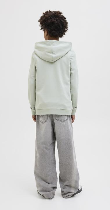 Immagine prodotto Jack & Jones Jcologan Ss24 Print Sweat Hood Sn Jnr (128)